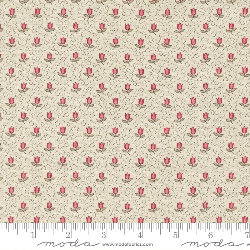 Antoinette Champagne Pearl 13955 11