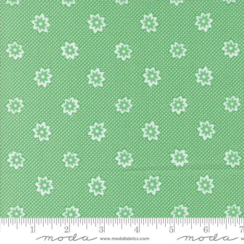 30's Playtime | Blooming Blossoms | Aloe 33752 17
