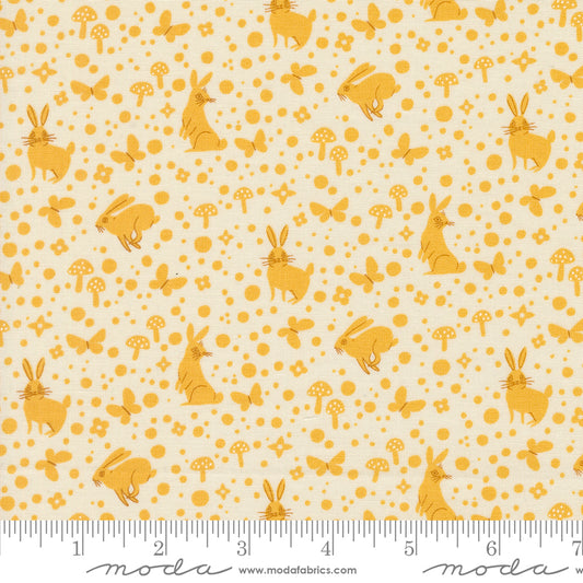 Love Letter | Wonder Dot | Golden 37127 11