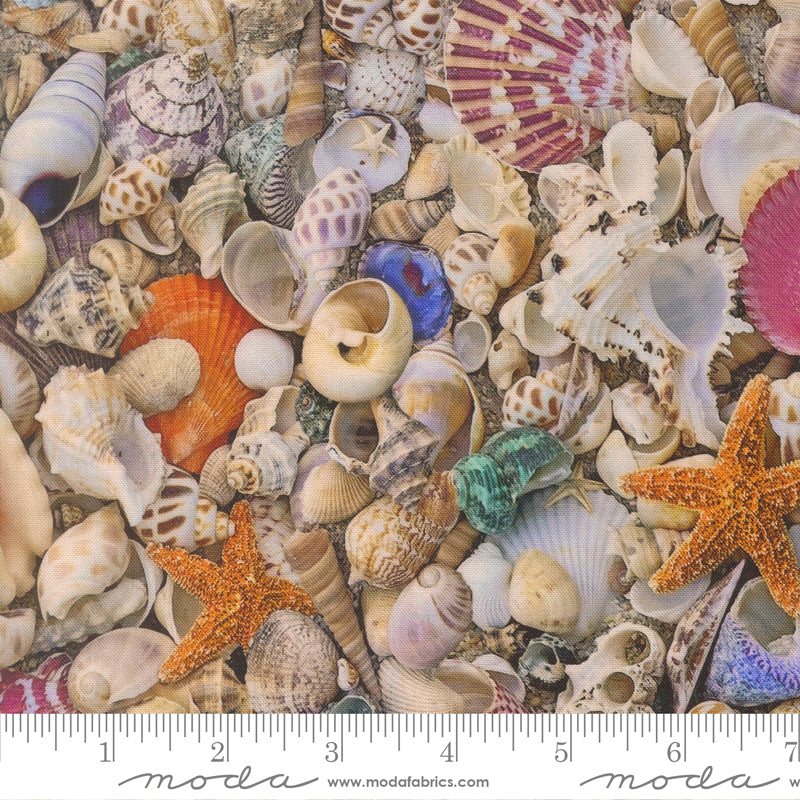 Saltwater | Seas the Day | Shell 39570 11