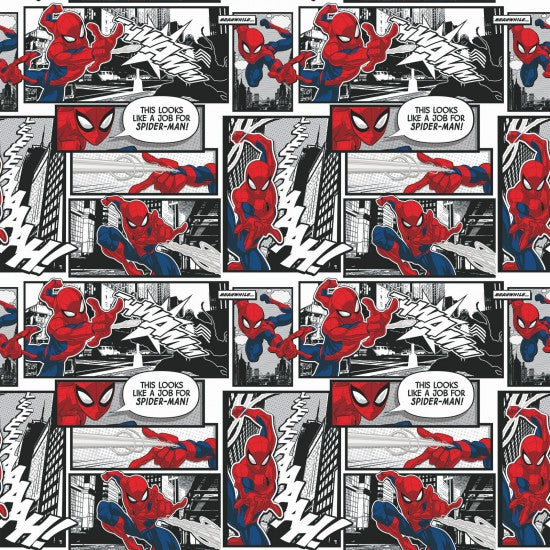 Spiderman 39930