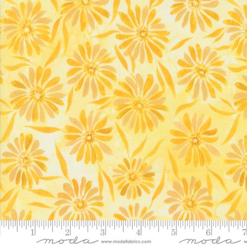 Sunshine & Blue Skies | Brightly Beaming | Sunshine 39825 11