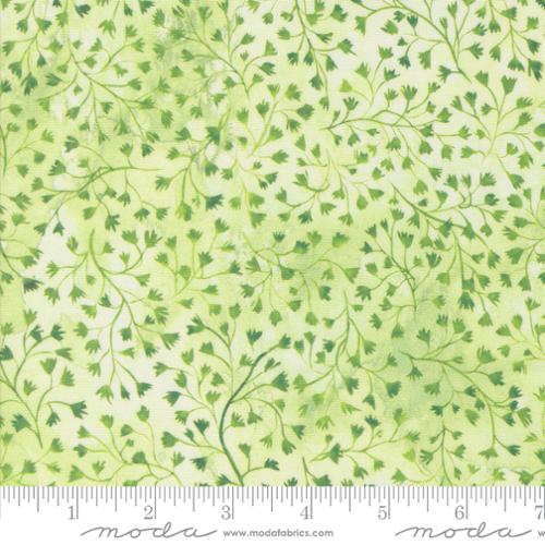 Sunshine & Blue Skies | Fine Fellow Fern | Spring Green 39830 12