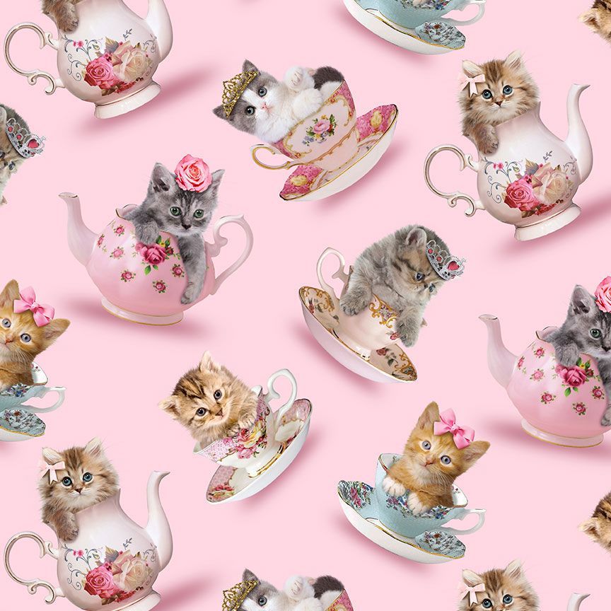 Teacup Cats | CD3578