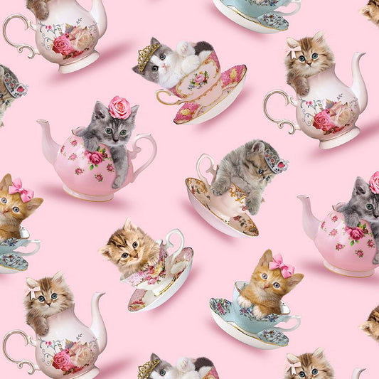 Teacup Cats | CD3578