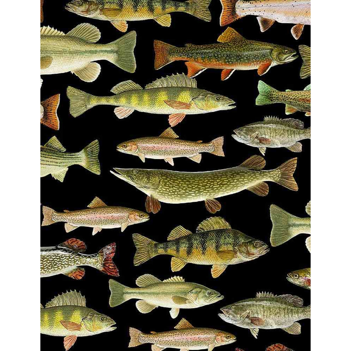 Woodland Retreat | Fish | Black CD6405