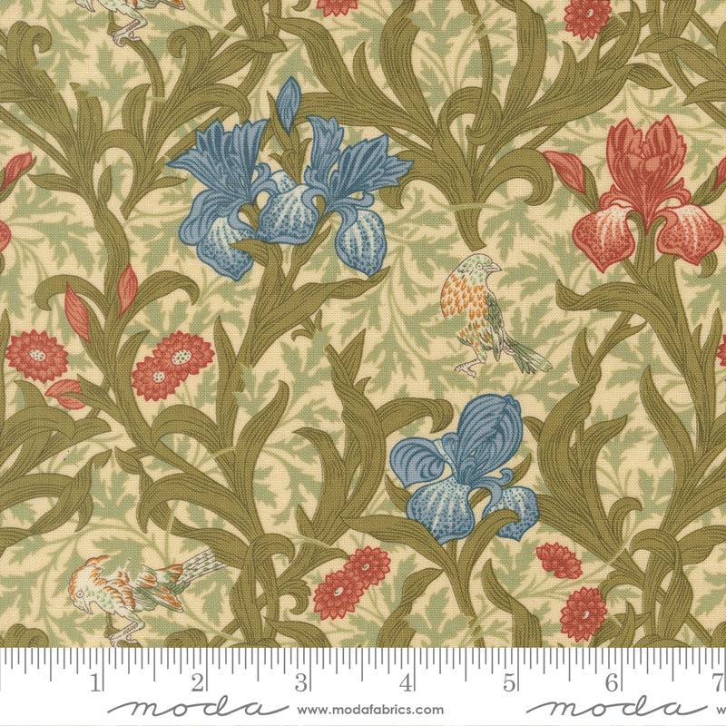 Morris Muse | Iris | Parchment 13380 11