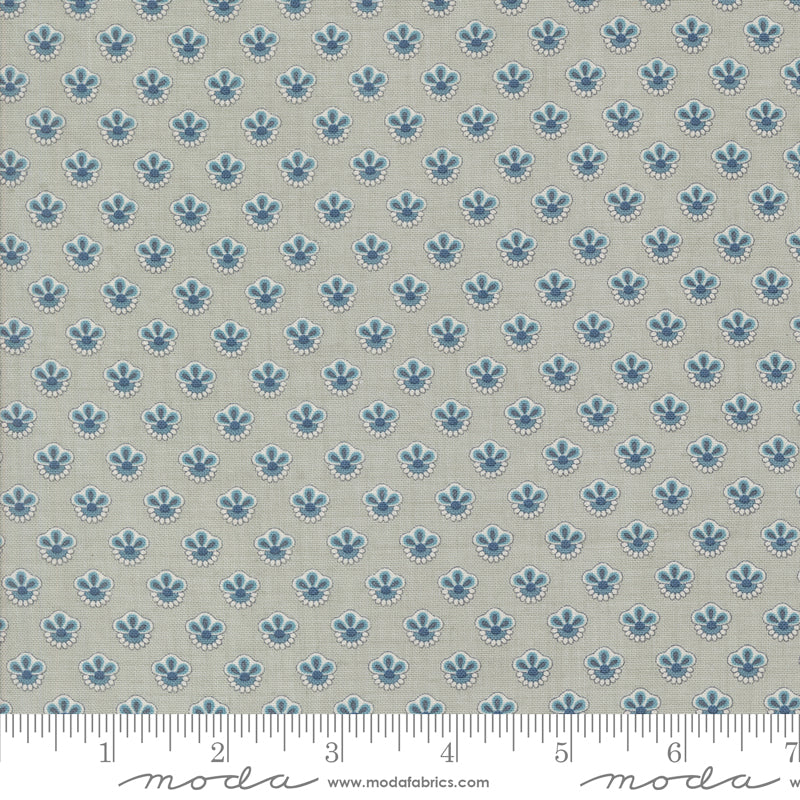 Sacre Bleu | Campanule | Ciel Blue 13977 14