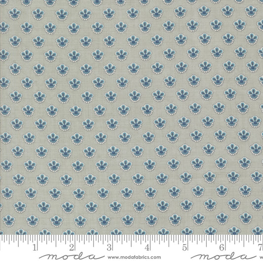Sacre Bleu | Campanule | Ciel Blue 13977 14