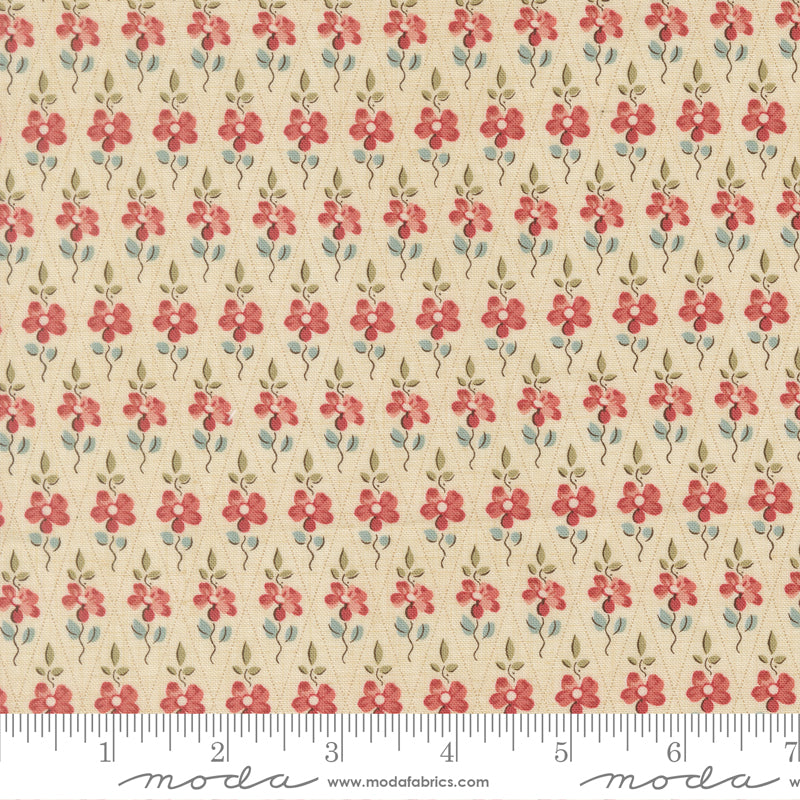 Fleur De Paris | Paquerette | Pearl 13997 11