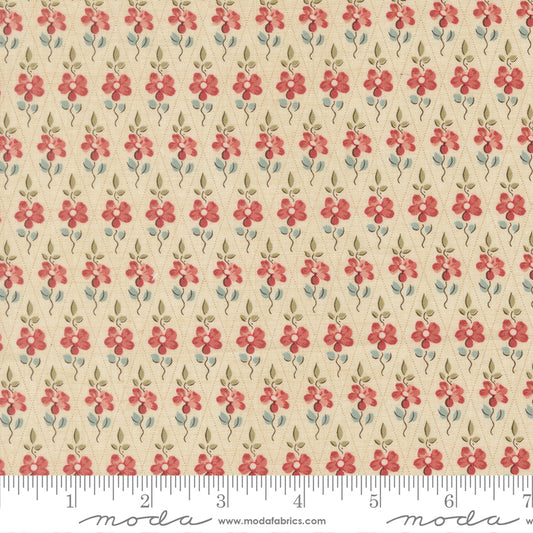 Fleur De Paris | Paquerette | Pearl 13997 11