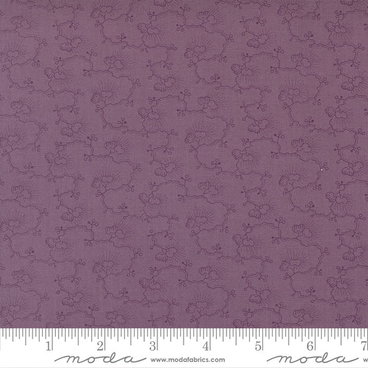 Wild Orchids | Tropical Vine | Moth 2772 16