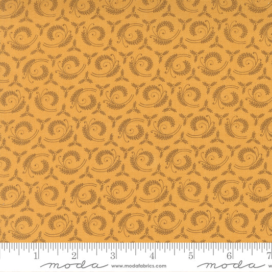 Wild Orchids | Fern Fronds | Lady Slipper 2773 14