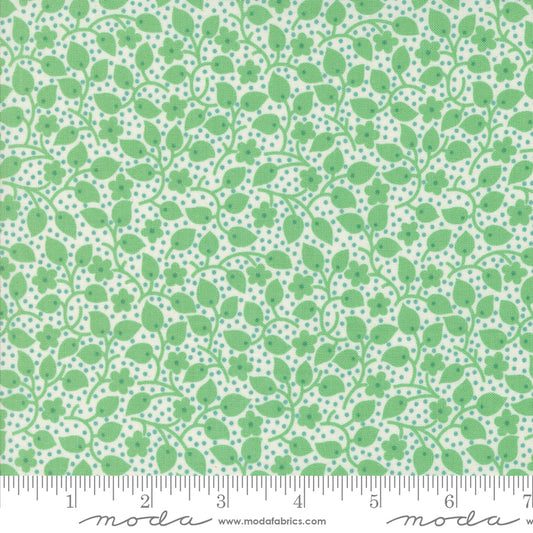 30's Playtime | Leafy Polka | Aloe 33753 11