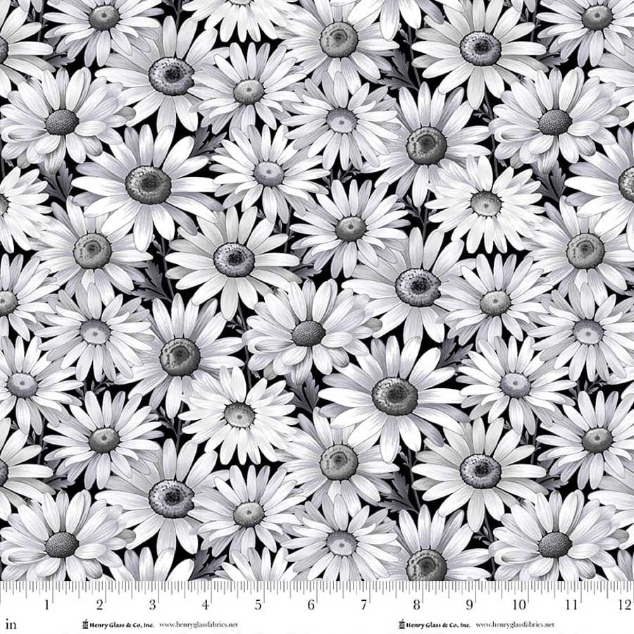 Scarlet's Treasure | Daisies | Black HG3641-99