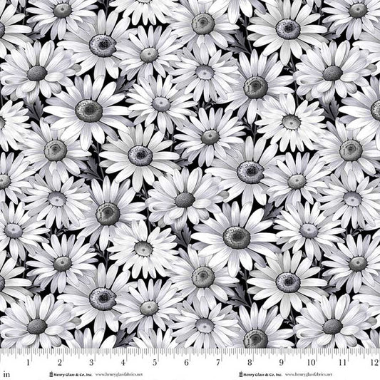 Scarlet's Treasure | Daisies | Black HG3641-99