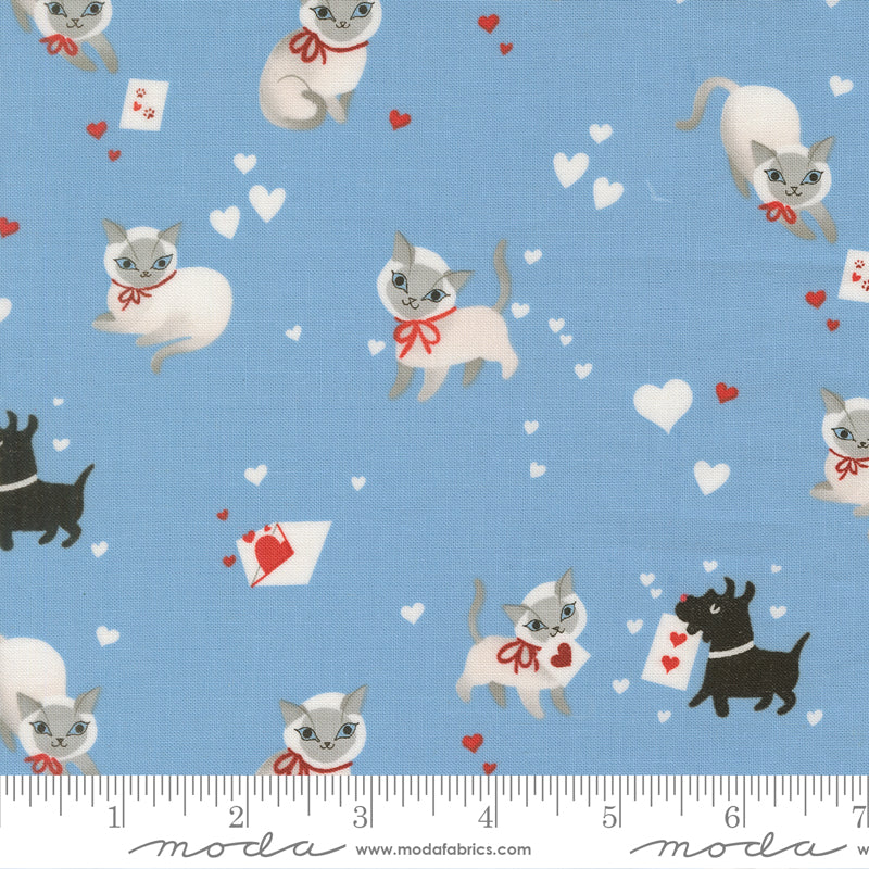 Funny Valentine | Kitty | Sky 37140 25