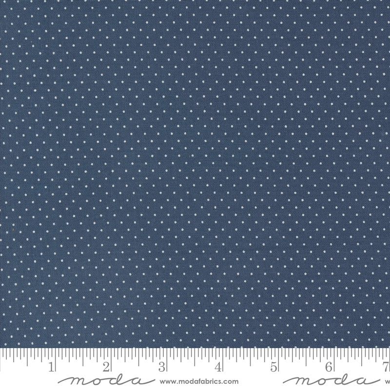 Enchantment | Swiss Dot | Indigo 43176 17