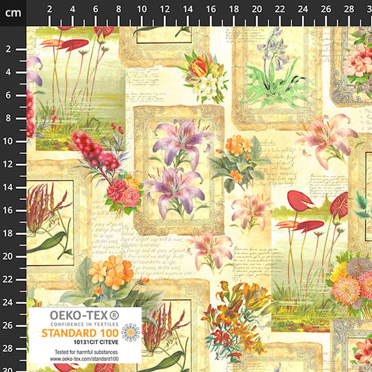 Herbarium | Spring Flowers Frames | Multi 4502-827