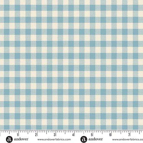 Special Delivery | Gingham | Chambray 96300-116