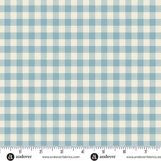 Special Delivery | Gingham | Chambray 96300-116
