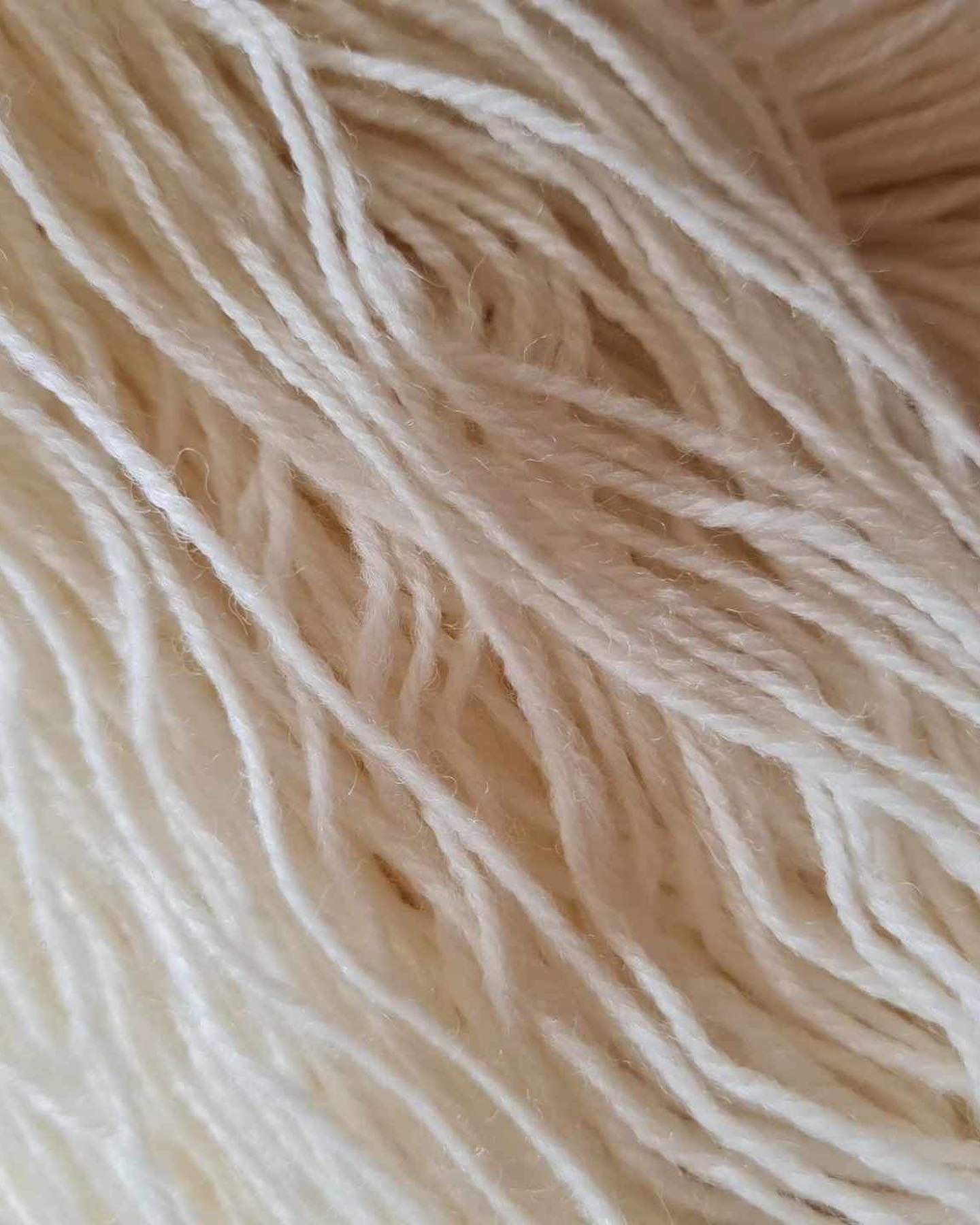 Acacia Downs 4ply Corriedale 100gm