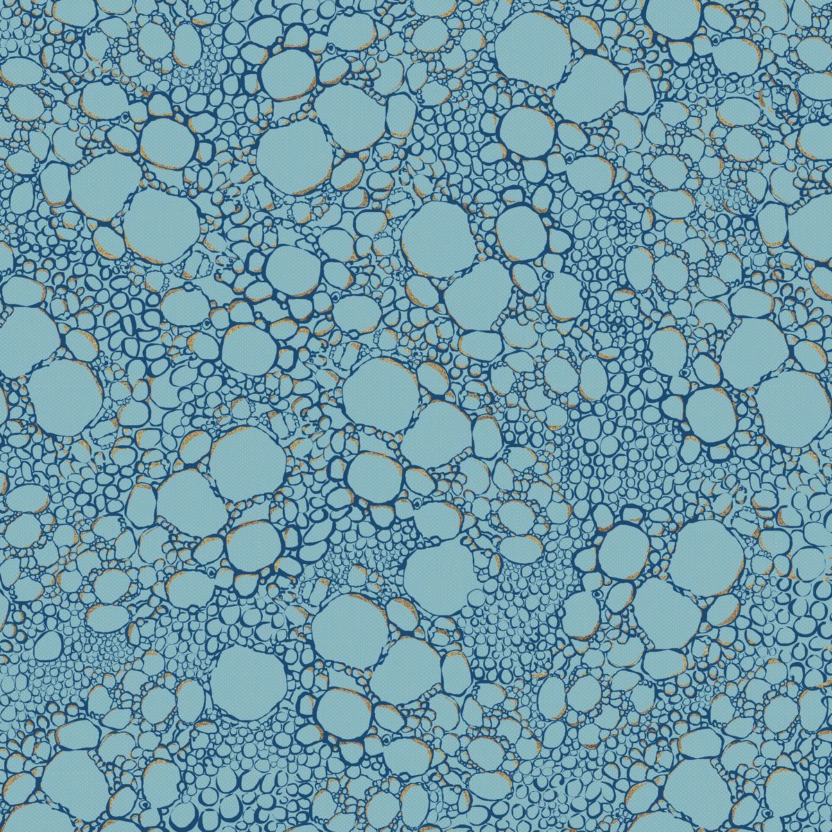 Gracefully Broken | Circles | Light Blue 4504-130