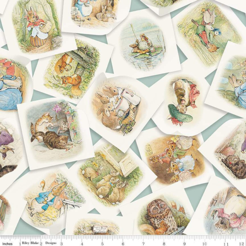 Peter Rabbit & Friends | Main | Blue 24900 101