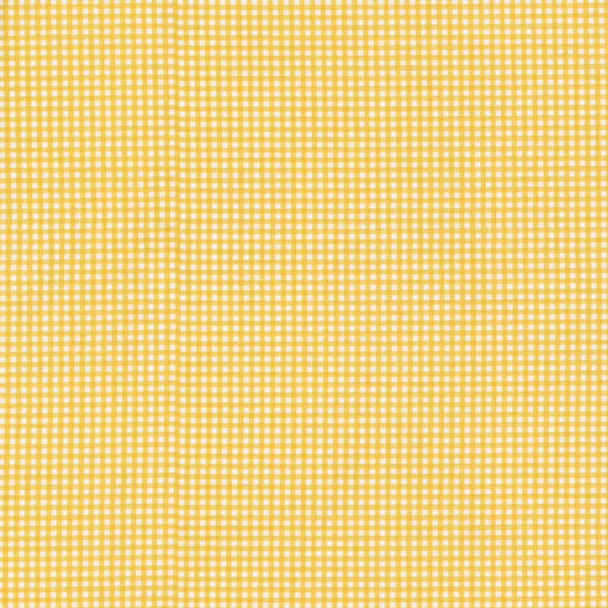 Micro Gingham | Honey 24860 105